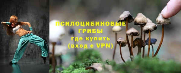 эйфоретик Липки
