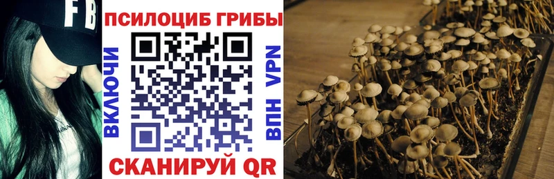 Псилоцибиновые грибы ЛСД Шарья